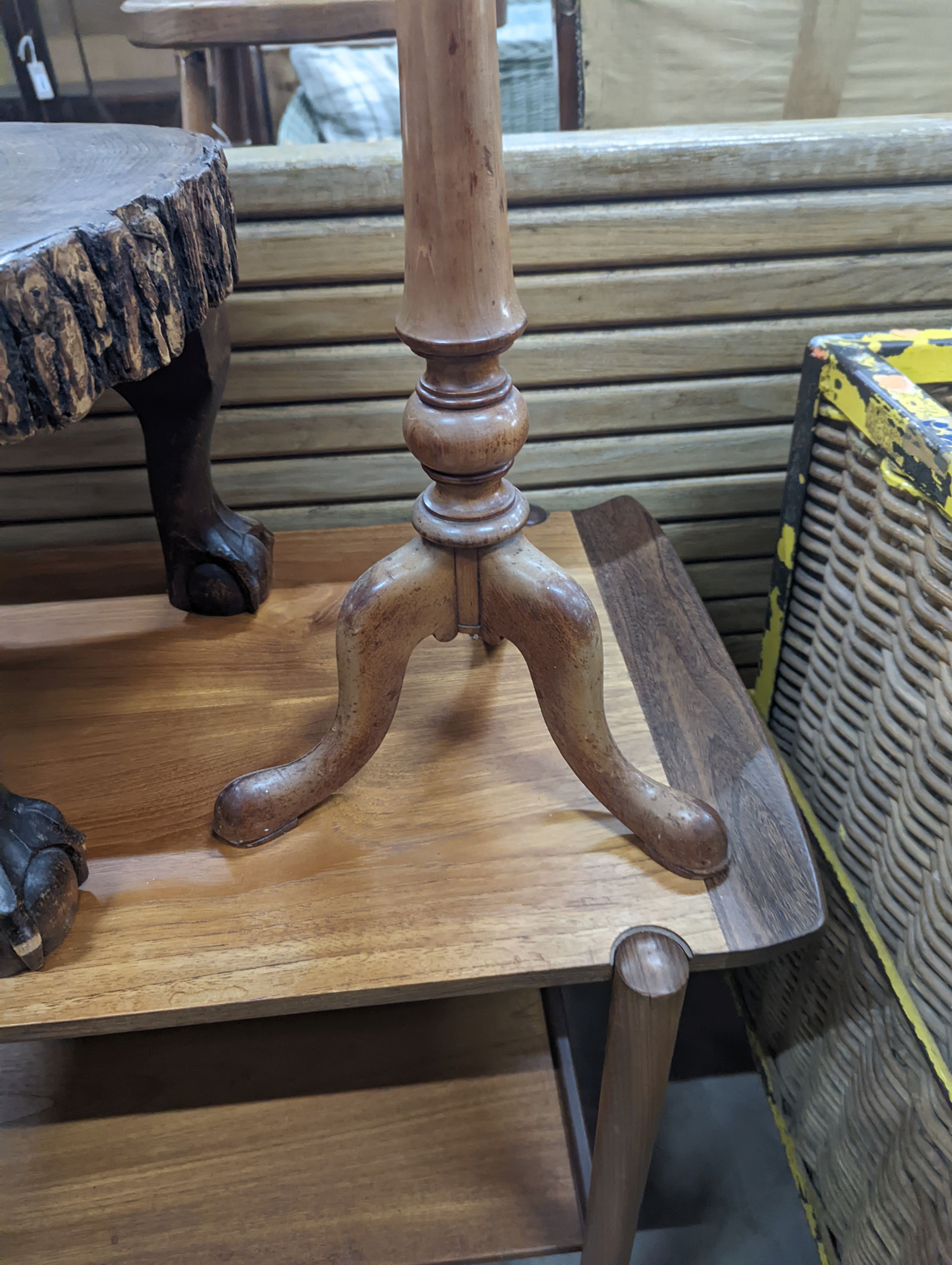 A rustic tree section low table, length 52cm, height 32cm together with a Victorian satin walnut candlestand